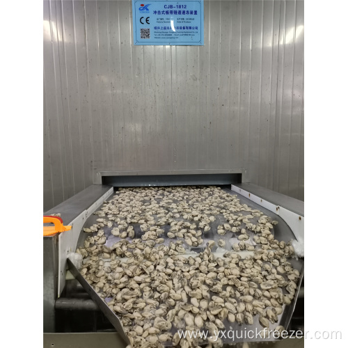 IQF Blast Freezer For Seafood Processing